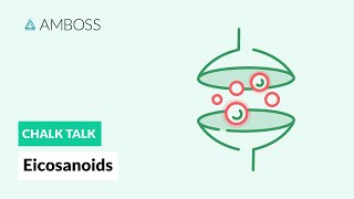 Eicosanoids Formation Function and Subclasses [upl. by Alva]