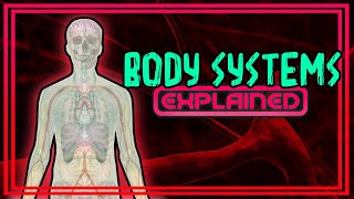 Body Systems Explained [upl. by Brookhouse]