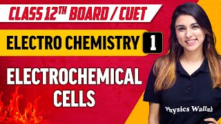 ElectroChemistry 01  Electrochemical Cells  Class 12thCUET [upl. by Faletti969]