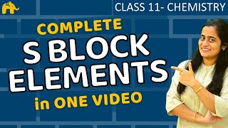 S block elements class 11 one shot  Chapter 11  CBSE JEE NEET NCERT Hindi [upl. by Leinehtan]