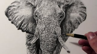 Cómo dibujar un Elefante [upl. by Montana876]