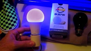 LED Blacklight Bulb REVIEW 7watt ADJ BLB7W Black Light ultraviolet UV [upl. by Drusi]