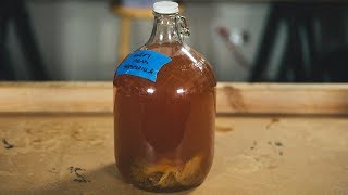 How to Make Your Own Mead [upl. by Rosabel]