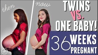 TWINS VS ONE BABY Comparing my Pregnancies  WEEK 36 UPDATE [upl. by Oppen]