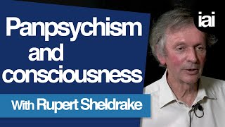 How Panpsychism Can Explain Consciousness  Rupert Sheldrake [upl. by Yoccm]