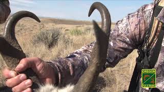 How to Hunt Pronghorn Hunting Pronghorn [upl. by Flore872]