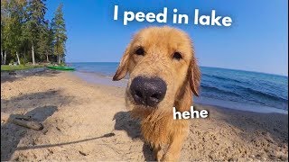 My Dog Rents A Beach House  Family Vacation [upl. by Lars]