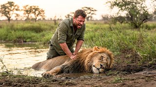 Man Saves a Drowning Lion What Happens Next Is Unbelievable [upl. by Naitsabas]