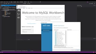 MySQL Database for Visual Studio  Getting Started [upl. by Schatz607]