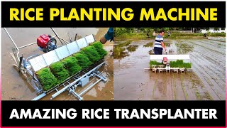 Rice Planting Machine  Paddy Transplanter Machine [upl. by Aloke]