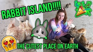 EXPLORING JAPANS RABBIT ISLAND Everything you need to know about Okunoshima BUNNY ISLAND [upl. by Yodlem]