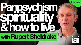 Panpsychism spirituality and consciousness  Rupert Sheldrake [upl. by Thomasina]