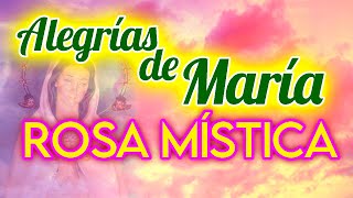 🌹Rosario Rosa Mística ALEGRIAS DE MARIA lunes miercoles jueves sabados y domingos [upl. by Bekki]