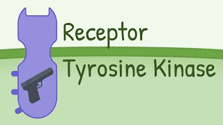 Receptor Tyrosine Kinase  MAPK Pathway [upl. by Annaiviv624]