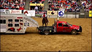 Onearmed bandit John Payne with His Buffalo at the MidAmerica Horse Fair in 2011 [upl. by Camala]