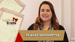 Explica Direito Filiação Socioafetiva  2019 [upl. by Kilroy120]