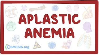 Aplastic anemia  an Osmosis Preview [upl. by Anenahs620]