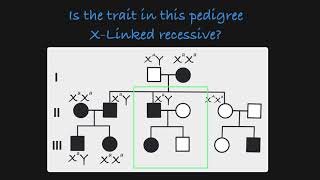 XLinked Recessive Traits in a Pedigree [upl. by Irrep]