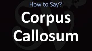 How to Pronounce Corpus Callosum CORRECTLY [upl. by Klotz549]