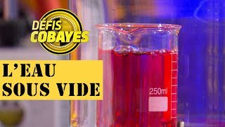 Comment varie la température de leau sous vide   Défis Cobayes  France 4 [upl. by Anotyal977]