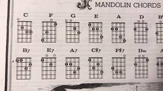 Mandolin Chords [upl. by Cirillo]