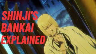 Shinjis Bankai Explained [upl. by Nuawad]