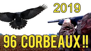 Chasse corbeaux 2019 [upl. by Ltihcox]