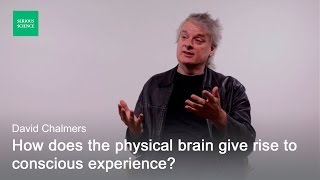 Hard Problem of Consciousness — David Chalmers [upl. by Montana902]