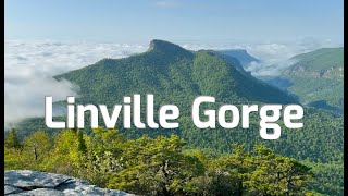 Linville Gorge May 2023 [upl. by Romeo]