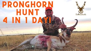 Pronghorn Antelope Hunt  Wyoming Public Land [upl. by Llabmik]