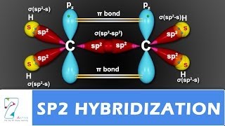 SP2 Hybridization [upl. by Hasila]