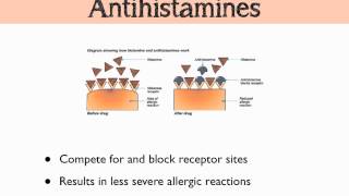 Histamine amp Prostaglandins [upl. by Grissom]