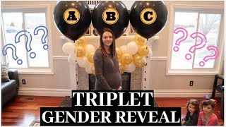 EPIC TRIPLET Gender Reveal  1 IN 30000 CHANCE [upl. by Som]