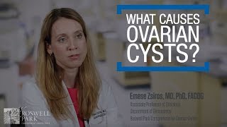 Ovarian Cysts  CRASH Medical Review Series [upl. by Ailuy]