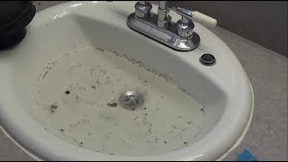 How to Unclog a Bathroom Sink [upl. by Atnauqal627]