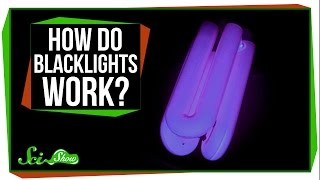 How Do Blacklights Make Things Glow [upl. by Nhguavoj831]