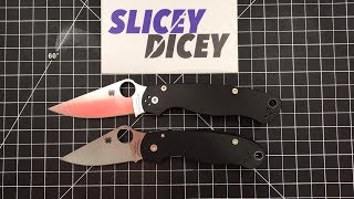 Should You Buy a Spyderco PM2 or a Para 3 [upl. by Neelrad]