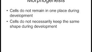 Lecture 1 Differentiation and Morphogenesis [upl. by Rhona516]