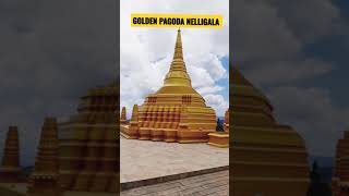 Golden Pagoda Of Nelligala International Buddhist Center Shorts [upl. by Allain]