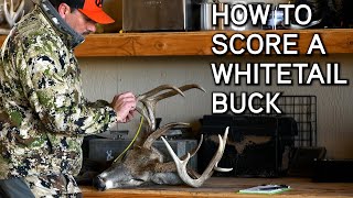 How To Quickly Green Score Your Whitetail Buck [upl. by Lashondra789]