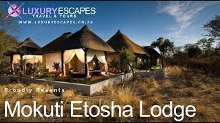 Mokuti Etosha Lodge in Namibia [upl. by Bayer592]