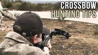 First Time Crossbow Hunting Tips [upl. by Ehcram]