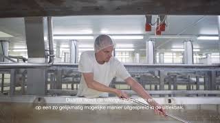 Les Fromages Trappistes de Chimay vidéo officielle en français [upl. by Tamera]