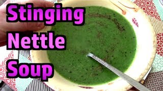 Stinging Nettle Soup  Delicious  Foraging Tips And Recipe [upl. by Sajet]