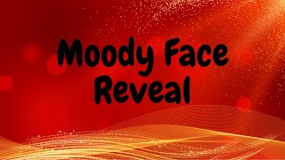 Moody unicorn twin face reveal maybe her or not [upl. by Tormoria]