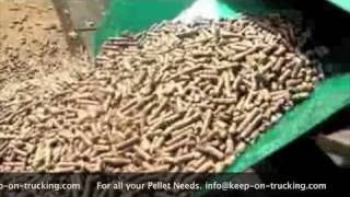 🔴 New Pellet Mill Bio Green Tech Ltd [upl. by Adyam175]