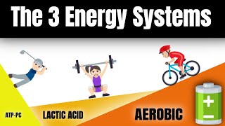 Learn the 3 Energy Systems ATPPC Lactic Acid amp Aerobic [upl. by Willey907]