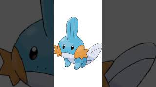 Facts about Mudkip you might not know  Pokemon Facts [upl. by Marasco]