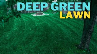 🟢 Make your ugly lawn DARK GREEN in 3 days [upl. by Nattie]