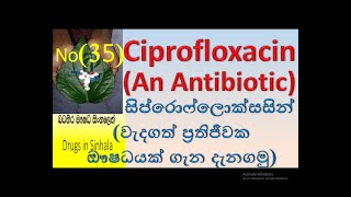 Ciprofloxacin in sinhala  ciprofloxacin  සිප්රොෆ්ලොක්සසින් ගැන දැනගමු [upl. by Riddle863]